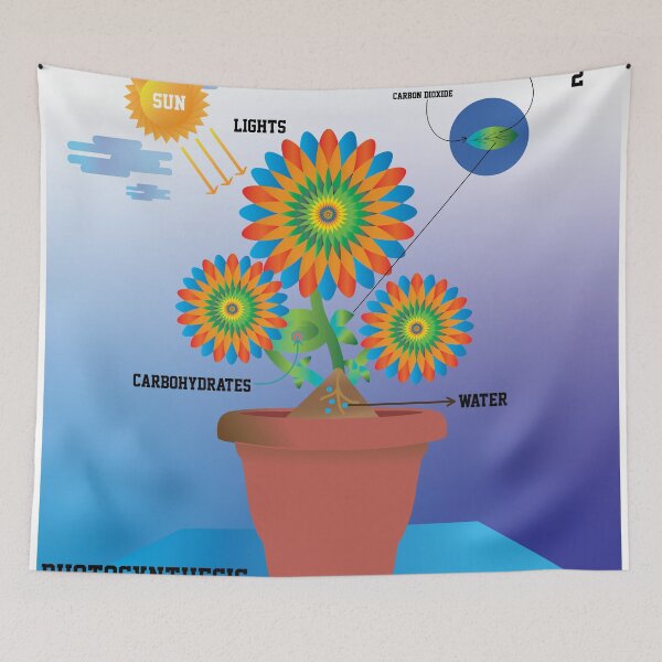 Item preview, photosynthesis designed and sold by KARTICK DUTTA.