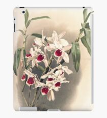 Reichenbachia Orchids illustrated and described by F. Sander 1888 V1-V2 050 iPad Case/Skin
