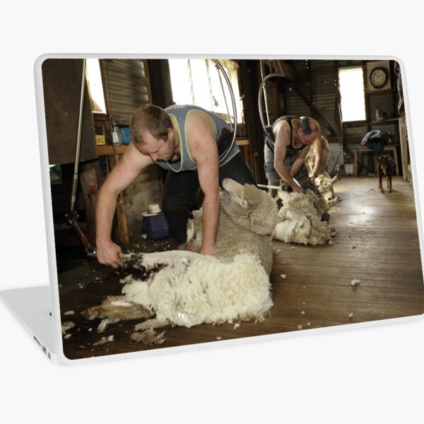 Shearing, Tooborac, Victoria, Australia Laptop Skin