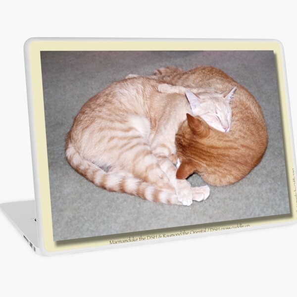 Cat calendar image #2 Togetherness! Laptop Skin