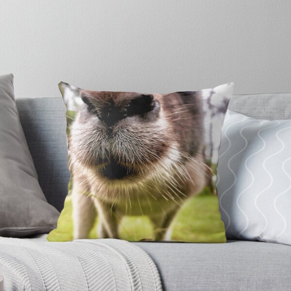 Item preview, Kangaroo designed and sold by Nollyweeks.
