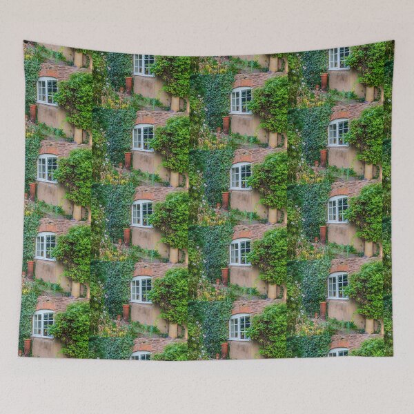 Item preview, Peering through the glass window designed and sold by Jensphotos.