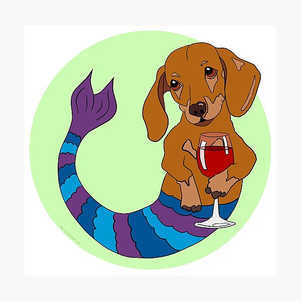 Carson the Dachshund Mermutt Photographic Print