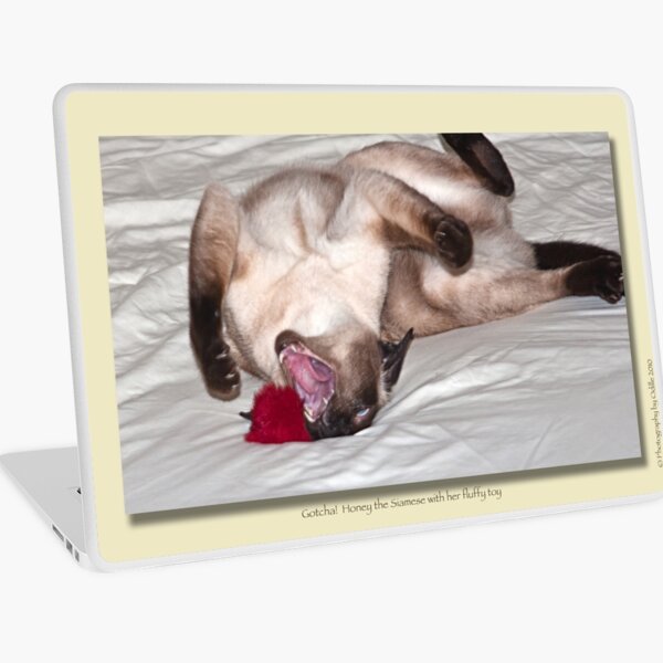 cat calendar #10 Gotcha! Laptop Skin