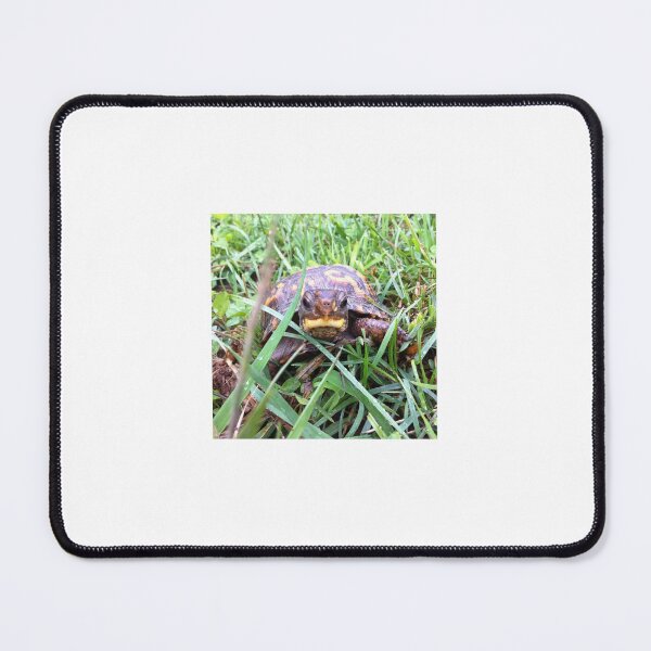 Item preview, turtle designed and sold by ChellesSnaps21.