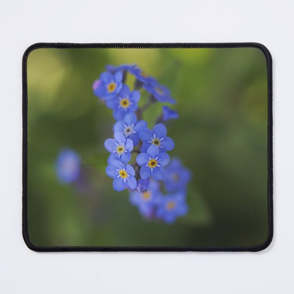 Item preview, Forget Me Not Love designed and sold by Joy Watson - Natural Light Photography .