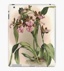 Reichenbachia Orchids illustrated and described by F. Sander 1888 V1-V2 016 iPad Case/Skin