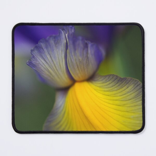 Item preview, Iris Purples And The Yellows designed and sold by Joy Watson - Natural Light Photography .