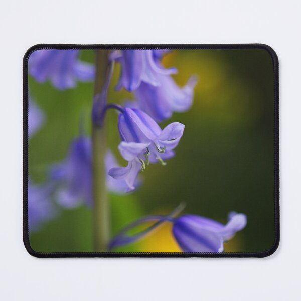 Item preview, Bluebell Flower Delicate designed and sold by Joy Watson - Natural Light Photography .