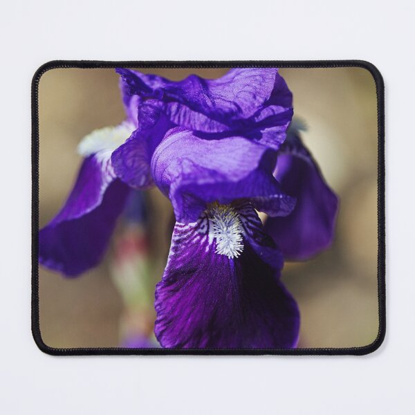 Item preview, Purple Bearded Iris  designed and sold by Joy Watson - Natural Light Photography .