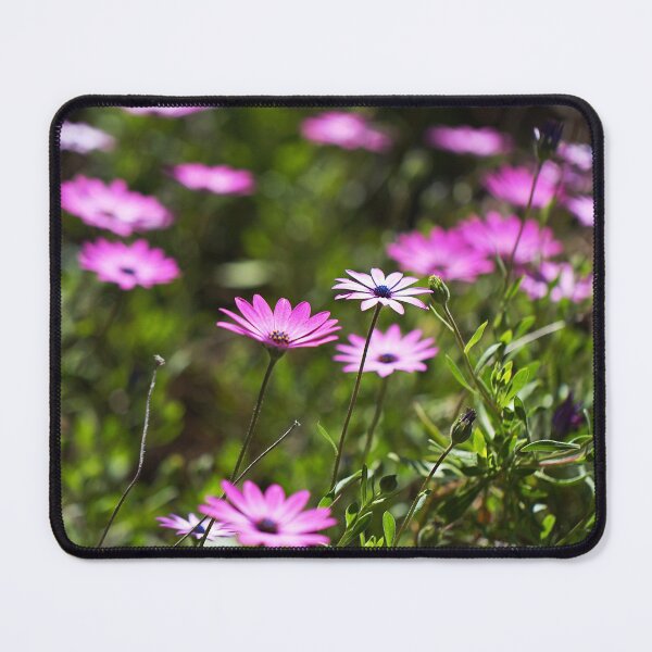 Item preview, Daisy Cape Garden Display designed and sold by Joy Watson - Natural Light Photography .