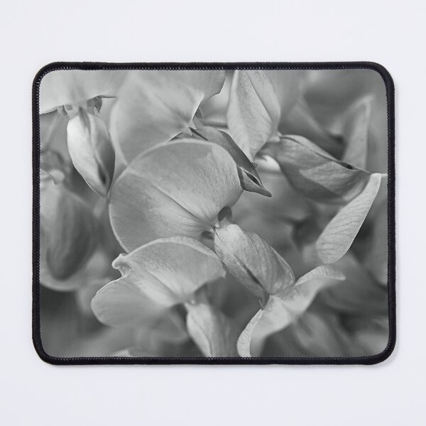 Item preview, Wisteria Trails BW designed and sold by Joy Watson - Natural Light Photography .