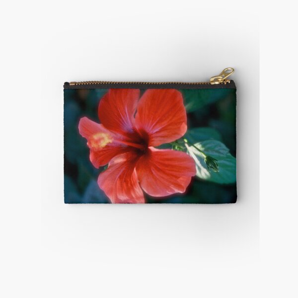 Item preview, Hibiscus from Lycia (Turkey). Brown Sugar BookStory 2008. Virews : 465. designed and sold by © Andrzej Goszcz,M.D. Ph.D.