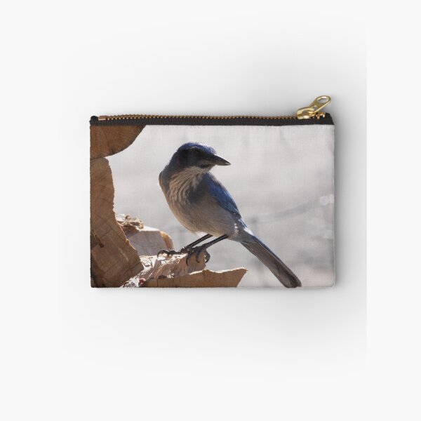 Item preview, Juvenile Pinion Blue Jay designed and sold by Roz Fayette.