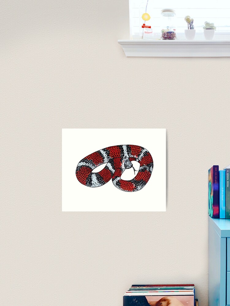 Tricolor Hognose Sticker for Sale by Madison Whitaker