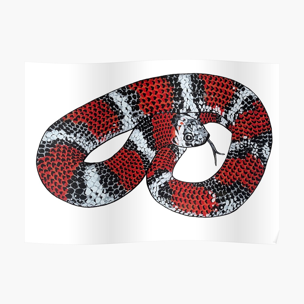 Tricolor Hognose Sticker for Sale by Madison Whitaker