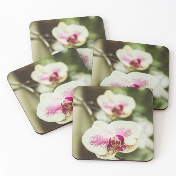 Item preview, Orchids blooming designed and sold by lukreciaphoto.