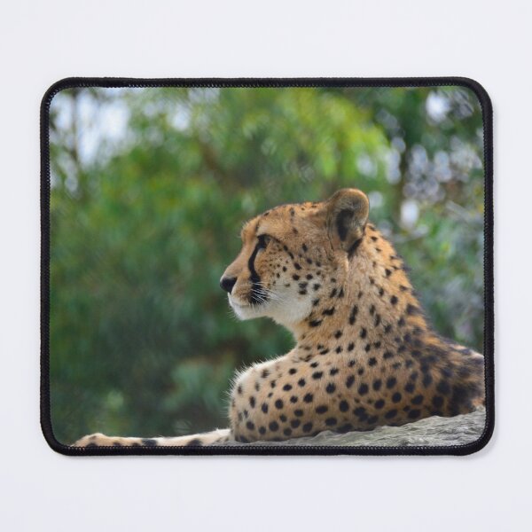 Item preview, Cheetah King designed and sold by briana-rose.