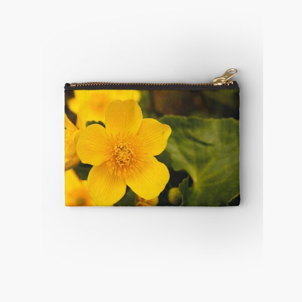 Aperçu de l'œuvre Marsh Marigold créée et vendue par David Nutter.