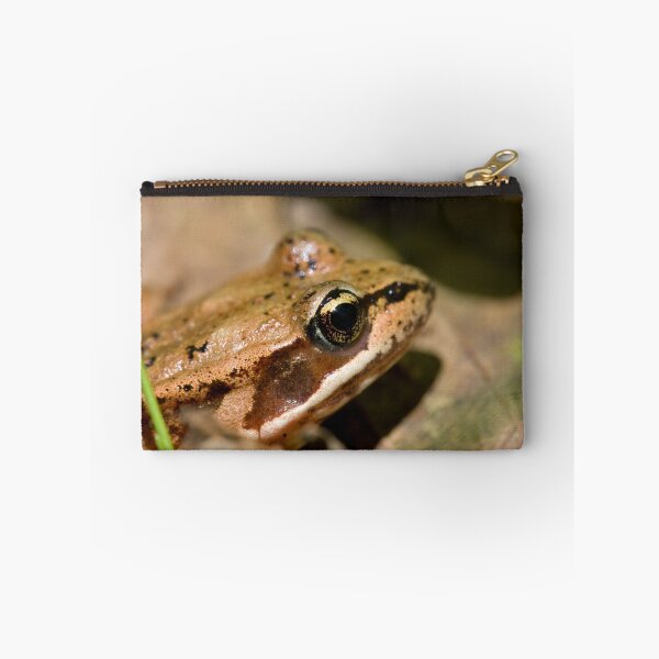 Item preview, Brown Frog in the Forest - Western Oregon designed and sold by Randall Ingalls.