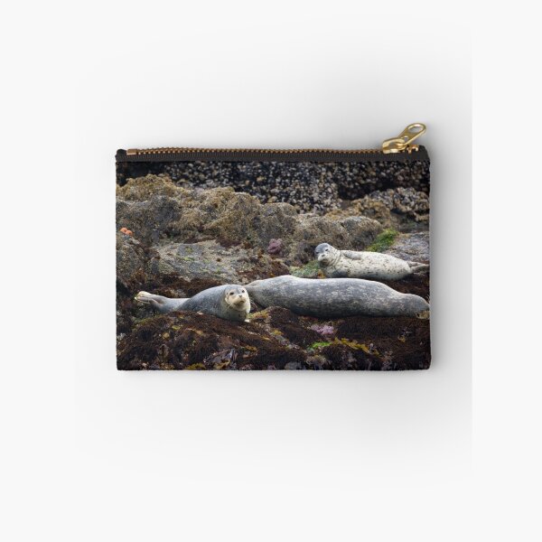 Item preview, Harbor Seals Basking - Oregon Coast designed and sold by Randall Ingalls.