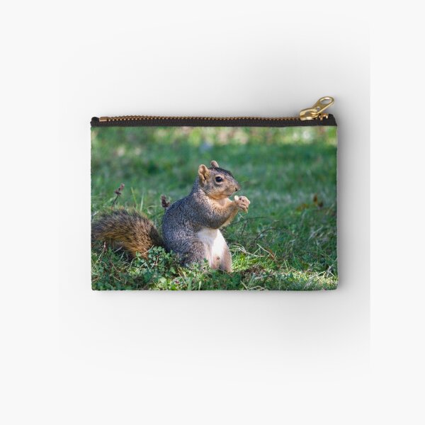 Item preview, Squirrel Eating a Nut - Eugene Oregon designed and sold by Randall Ingalls.