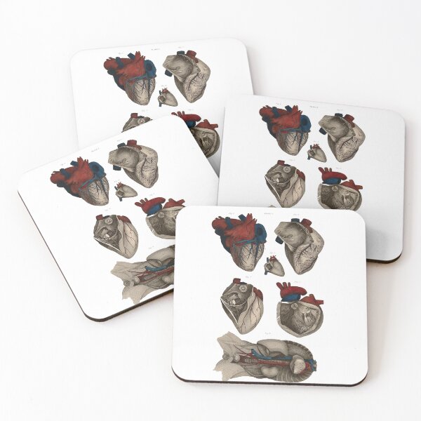 Item preview, Macabre Aesthetics: Anatomical figures of the heart designed and sold by Naturalist Prints.
