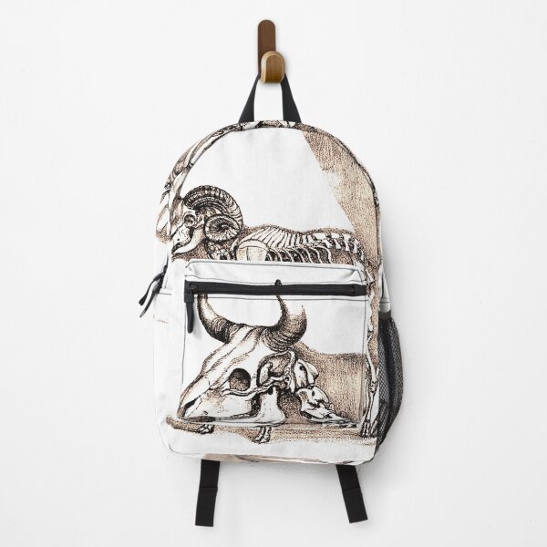 Item preview, Macabre Aesthetics: Skeleton of a man and animals designed and sold by Naturalist Prints.