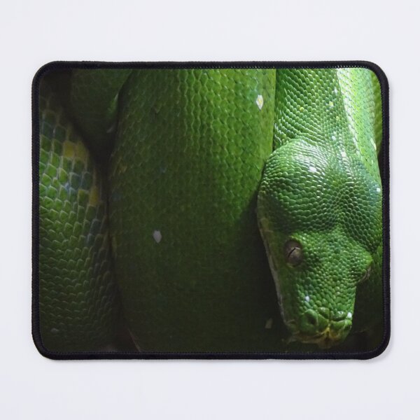 Item preview, Green Tree Python designed and sold by Catavan.