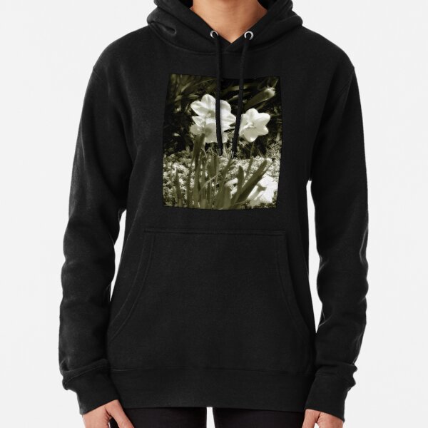 dreamy Pullover Hoodie
