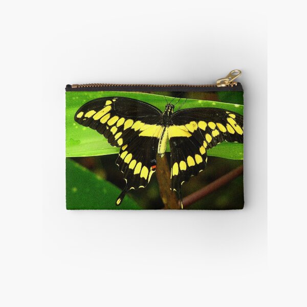Item preview, Dominant designed and sold by Rodney Williams.