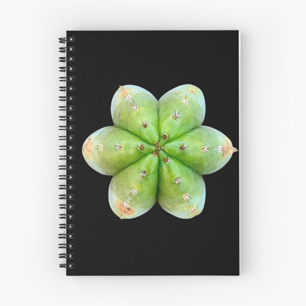 Item preview, Trichocereus Peruvianus l San Pedro l Cactus designed and sold by imyourfavorite.