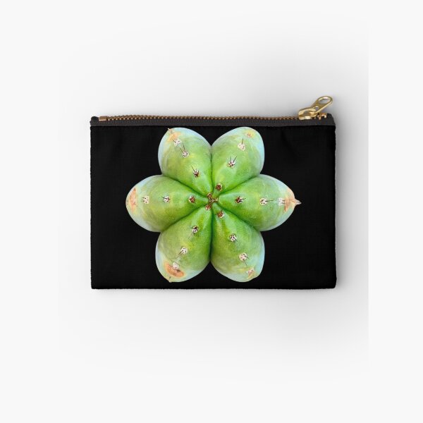 Item preview, Trichocereus Peruvianus l San Pedro l Cactus designed and sold by imyourfavorite.