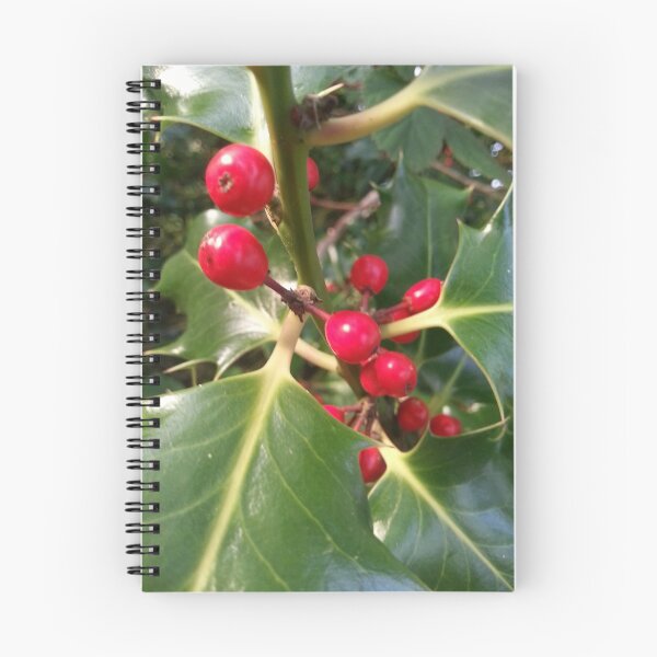 Item preview, Holly and Ivy designed and sold by Lucykateuk.