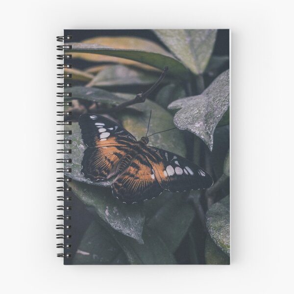 Item preview, Butterfly effect designed and sold by lukreciaphoto.