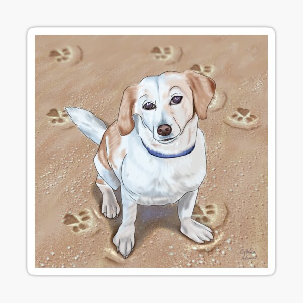 Dog on the Beach with Heart Paws Sticker