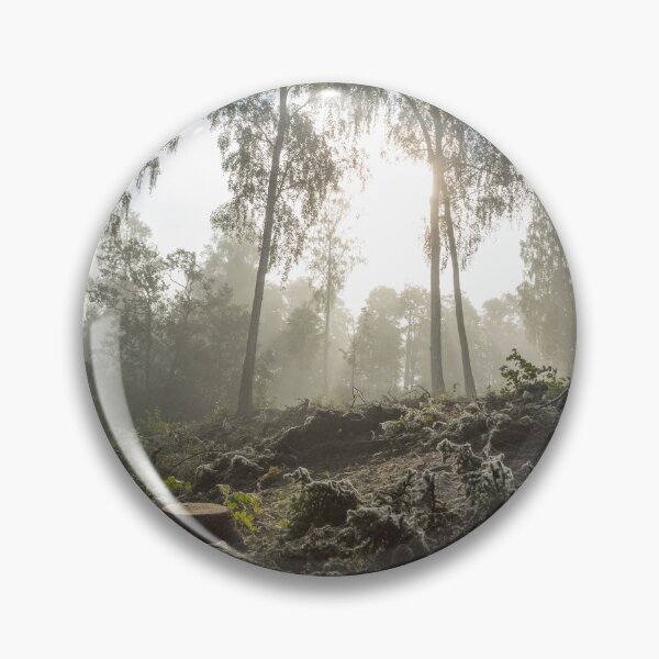 Item preview, Sunshine and birchforest - Landscape designed and sold by RolandWidin.
