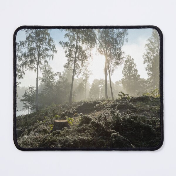 Item preview, Sunshine and birchforest - Landscape designed and sold by RolandWidin.