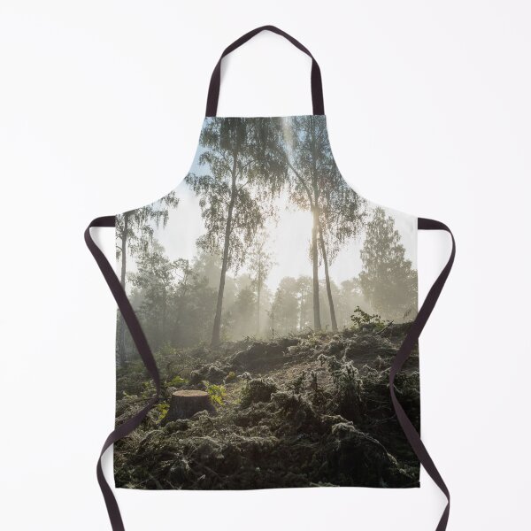 Item preview, Sunshine and birchforest - Landscape designed and sold by RolandWidin.