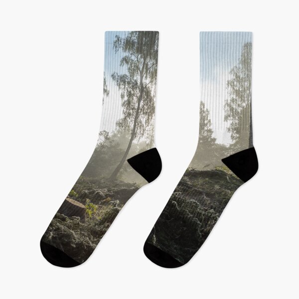 Item preview, Sunshine and birchforest - Landscape designed and sold by RolandWidin.