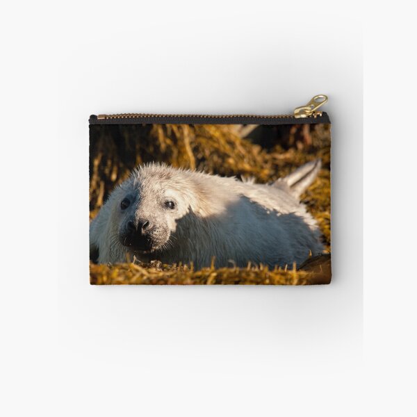 Item preview, Grey Seal pup designed and sold by Jon Lees.
