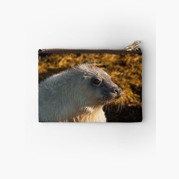 Item preview, Grey Seal pup designed and sold by Jon Lees.