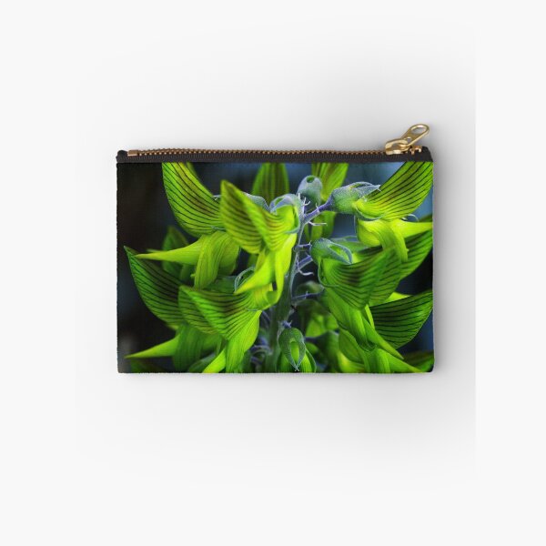 Item preview, Crotalaria cunninghamii  designed and sold by andrachne.