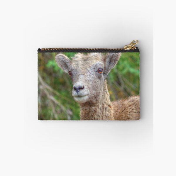 Item preview, Little Lamb designed and sold by James (820Photography) Anderson.