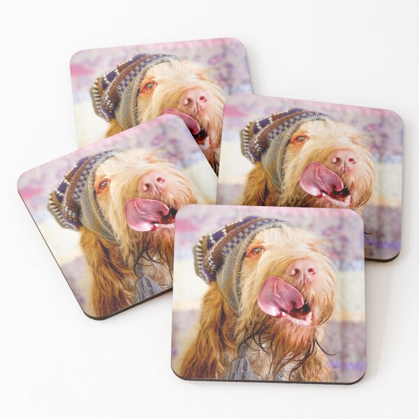 Delicious Spinone Coasters (Set of 4)