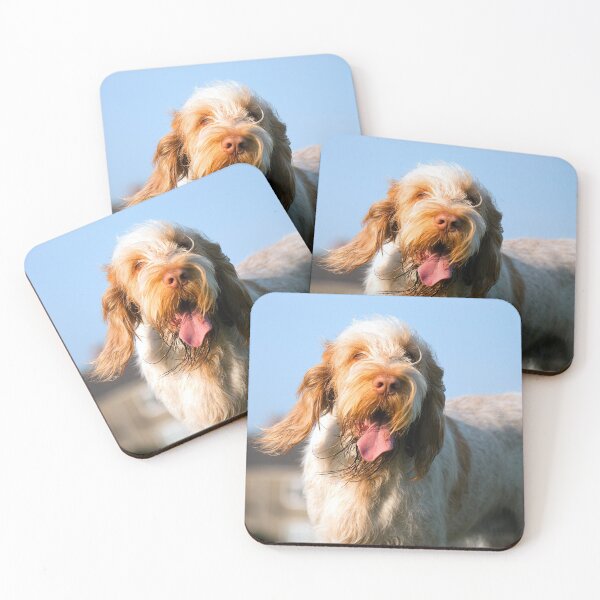 Item preview, Spinone día ventoso designed and sold by FOLK ART FUSION by heidiannemorris.
