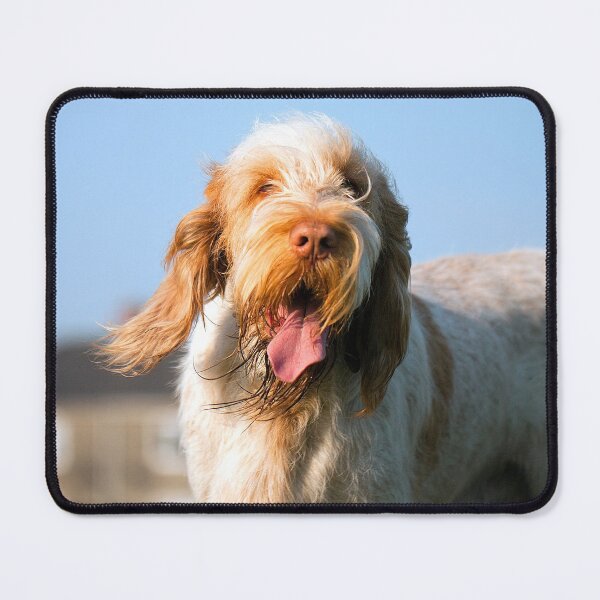 Item preview, Windy day Spinone designed and sold by FOLK ART FUSION.
