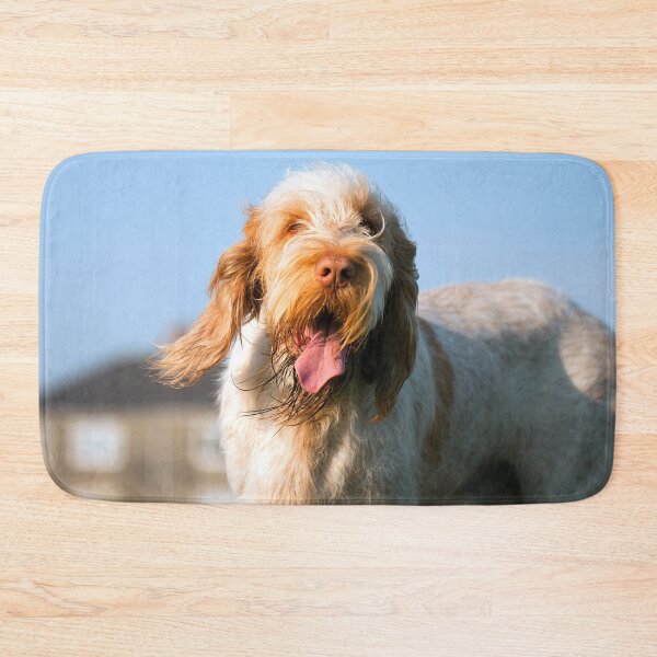 Item preview, Windy day Spinone designed and sold by FOLK ART FUSION by heidiannemorris.