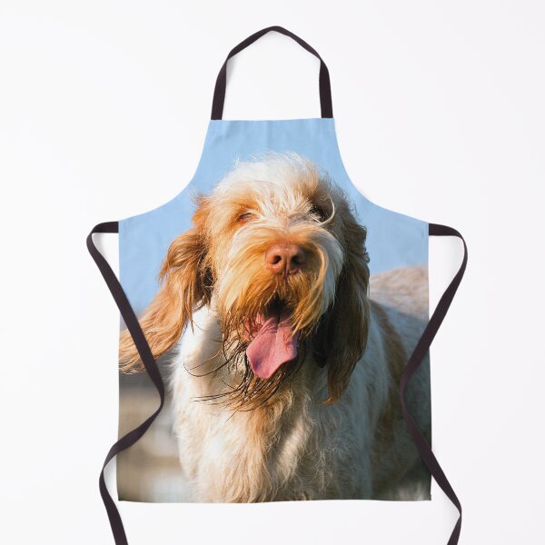 Item preview, Windy day Spinone designed and sold by FOLK ART FUSION by heidiannemorris.