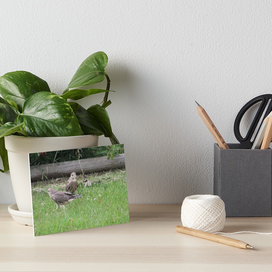 Item preview, Art Board Print designed and sold by cmark.